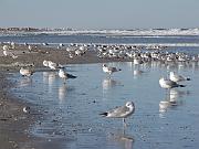 St. Augustine - Jan 2012 055